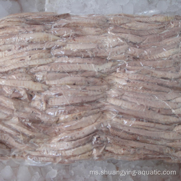 Loin Skipjack Tuna Bonito Frozen untuk Eksport